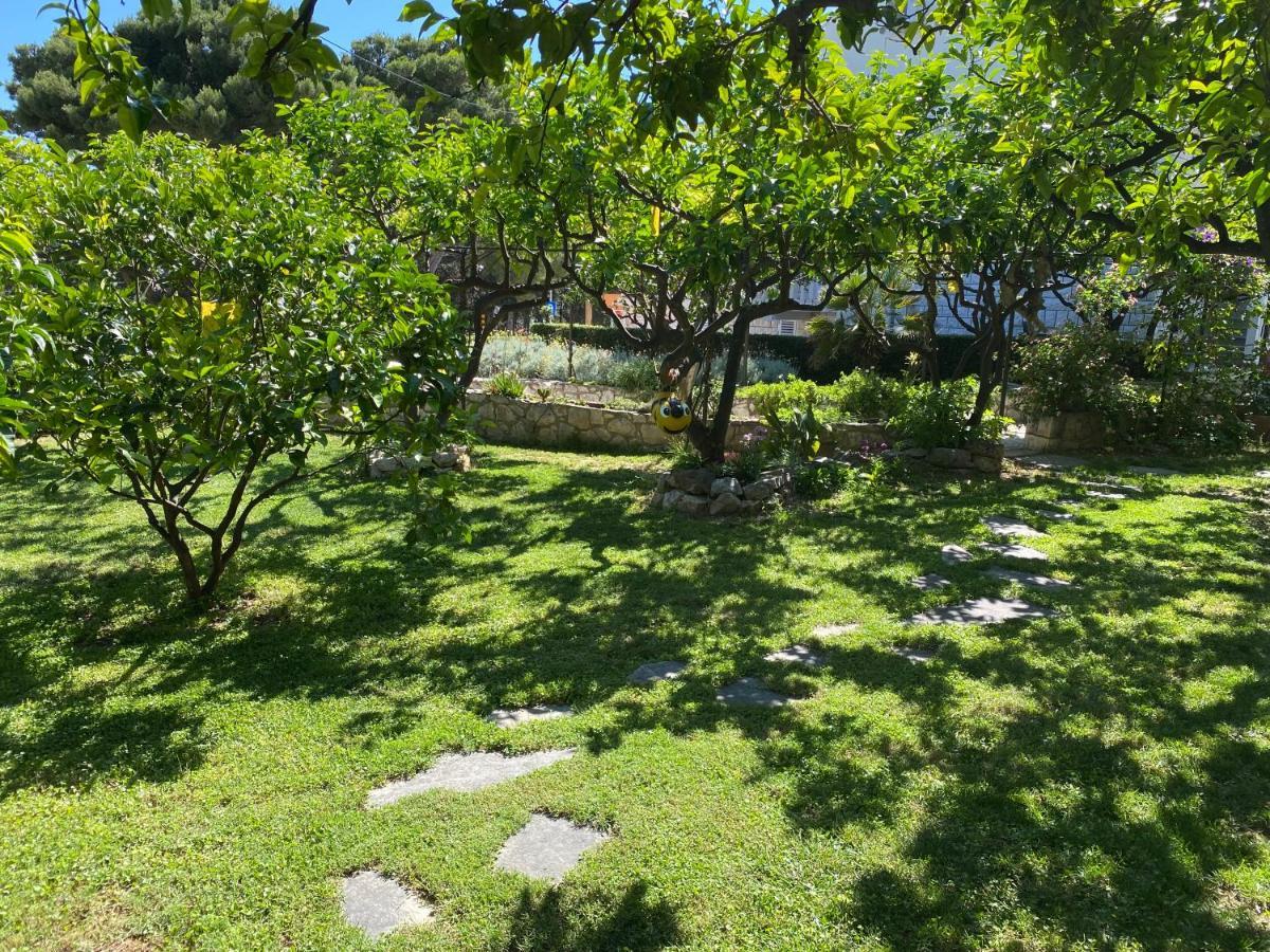 Terrace Apartment Đảo Hvar Ngoại thất bức ảnh