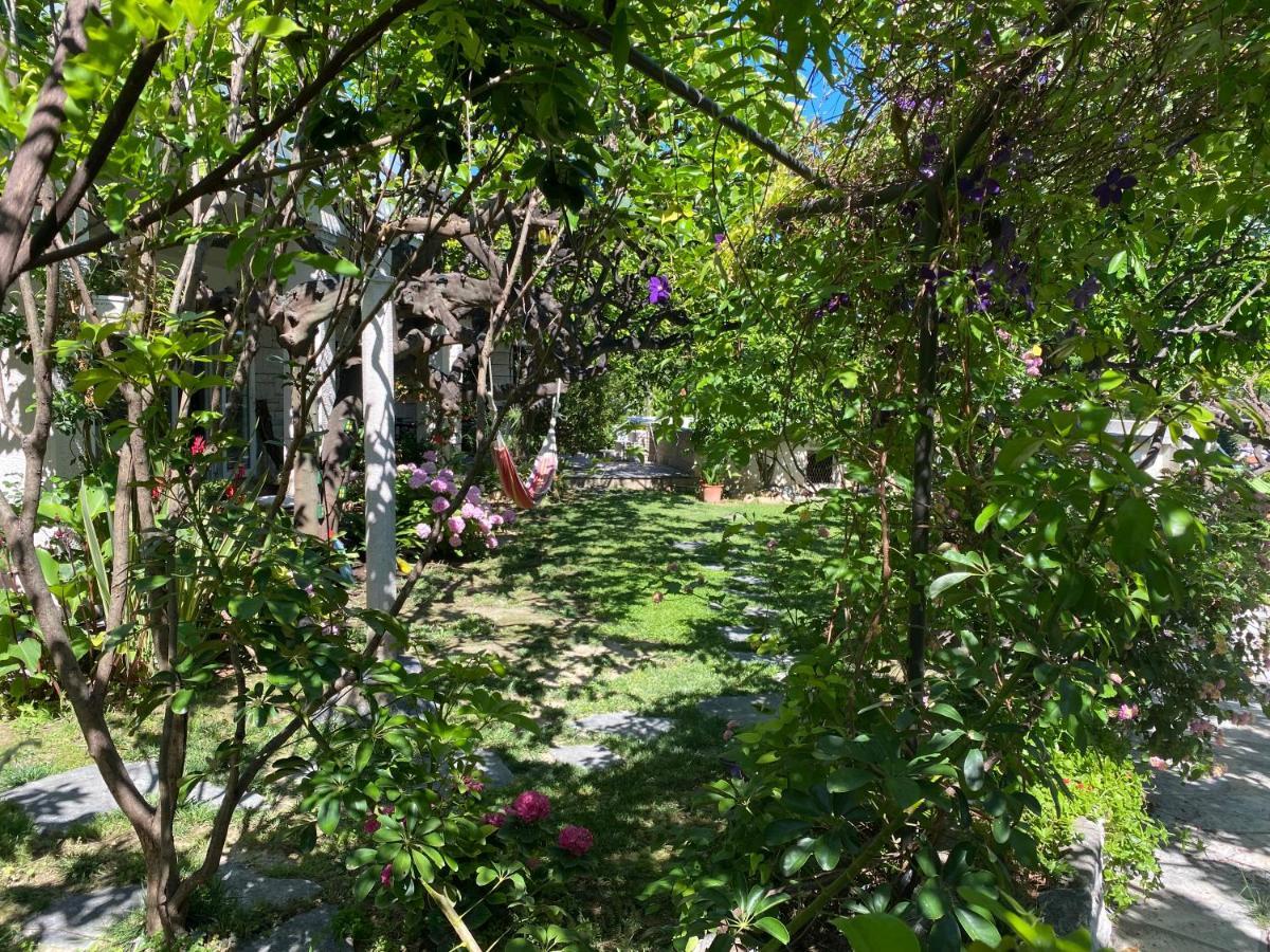 Terrace Apartment Đảo Hvar Ngoại thất bức ảnh